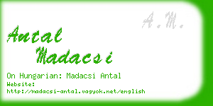 antal madacsi business card